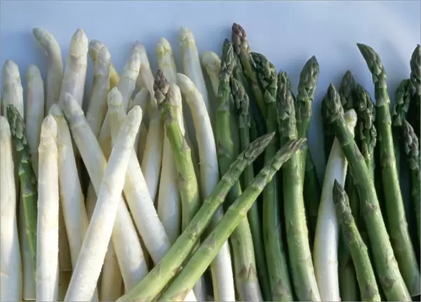 White and green asparagus C014  /  1517