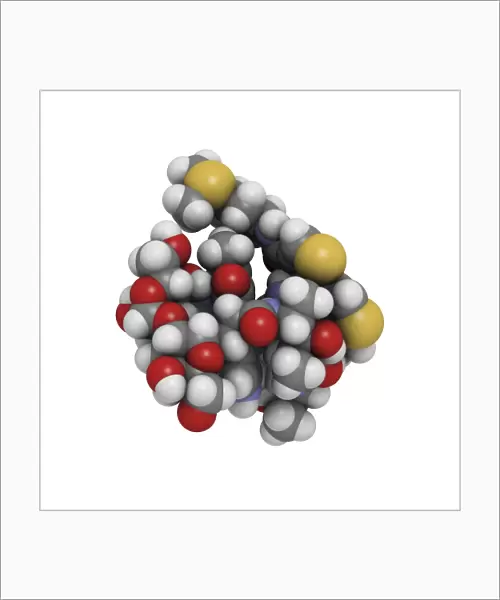 Bleomycin drug molecule F005  /  6675