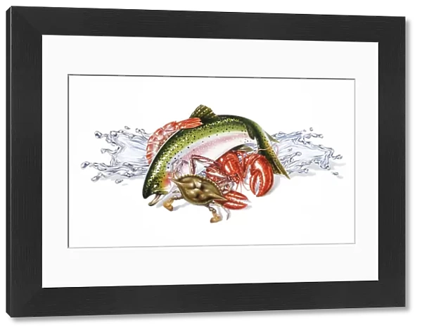Fresh seafood, artwork F007  /  8218