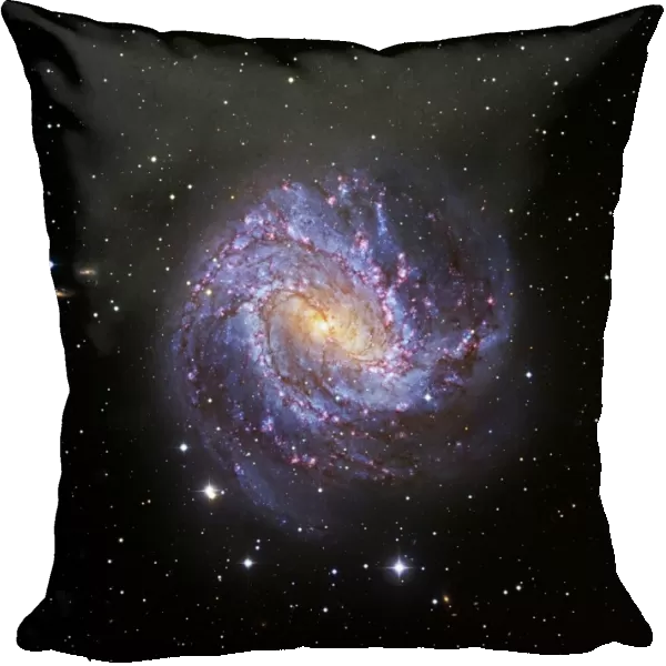 Southern Pinwheel Galaxy, Hubble image C017  /  3727