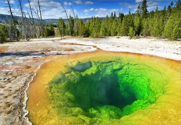 Morning Glory Pool and surrounds, Yellowstone National Park, UNESCO World Heritage Site, Wyoming, United States of America, North America