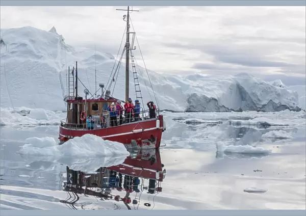 A commercial iceberg tour amongst huge icebergs calved from the Ilulissat Glacier, UNESCO World Heritage Site, Ilulissat, Greenland, Polar Regions