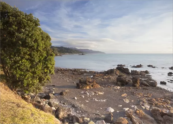 Te Mata beach, Coromandel Peninsula, Waikato, North Island, New Zealand, Pacific