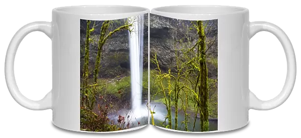 South Falls, Silver Falls State Park, Oregon, United States of America, North America