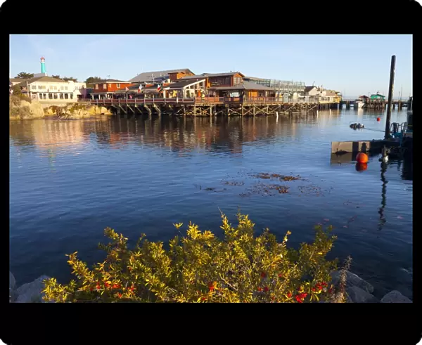 Old Fishermans Warf, Monterey, California, United States of America, North America