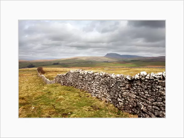 Dry stone wall at Winskill Stones with Pen Y Ghent beyond, near Settle, Yorkshire Dales, Yorkshire, England, United Kingdom, Europe
