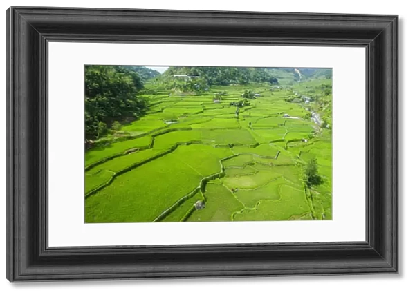 Hapao rice terraces, Banaue, UNESCO World Heritage Site, Luzon, Philippines, Southeast Asia, Asia
