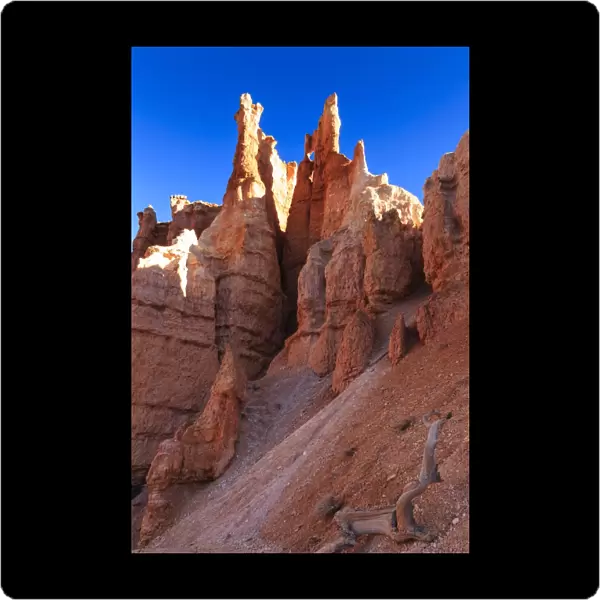 Hoodoos backlit by winter early morning sun, Queens Garden Trail, Bryce Canyon National Park, Utah, United States of America, North America