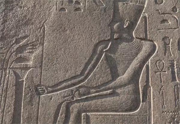 Relief carving in the ancient Egyptian Philae Temple, UNESCO World Heritage Site, Aswan, Egypt, North Africa, Africa