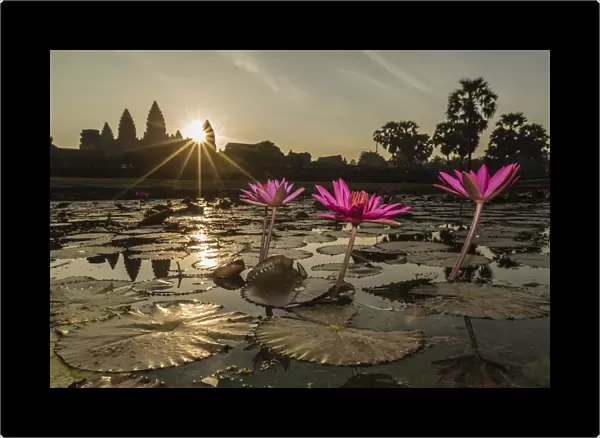 Sunrise over the west entrance to Angkor Wat, Angkor, UNESCO World Heritage Site, Siem Reap, Cambodia, Indochina, Southeast Asia, Asia
