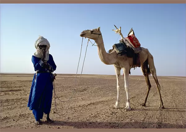 Tuareg tribesman and camel, Niger, Africa