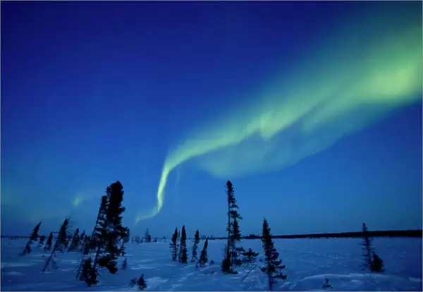 Northern Light, Aurora Borealis, Churchill, Manitoba, Canada