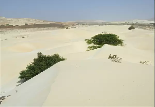 Desert and sand dunes in the middle of the island of Boa Vista, Cape Verde Islands