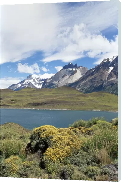 Landscape, Torres del Paine National Park, Patagonia, Chile, South America