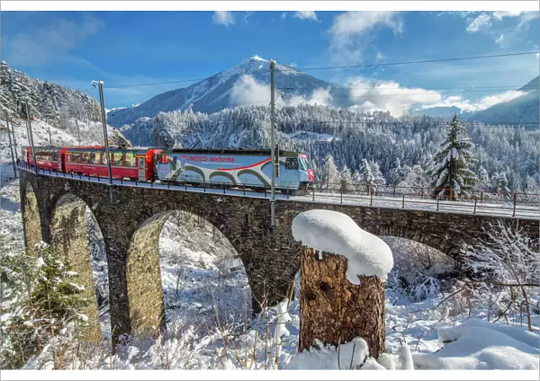 Bernina Express passes through the snowy woods around Filisur, Canton of Grisons (Graubunden)