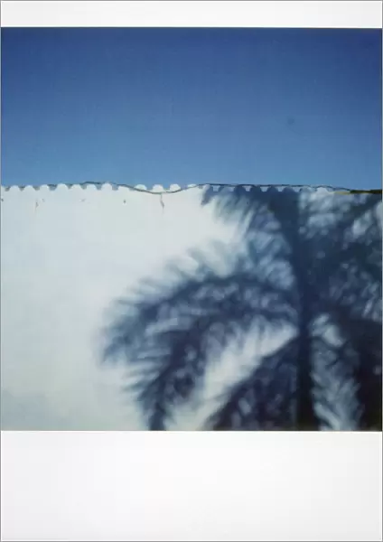 Polaroid of shadow of palm tree on painted blue wall, Plaza Mayor, Trinidad