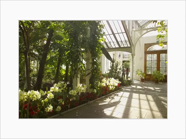 Interior of the Temperate House, Kew Gardens, UNESCO World Heritage Site