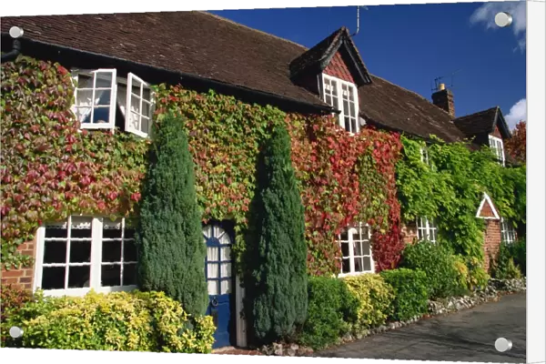 Creeper-clad cottages, Hursley, Hampshire, England, United Kingdom, Europe