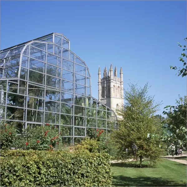 Glass house and Magdalen College Tower, Oxford Botanic Gardens, Oxford