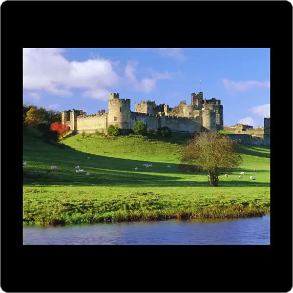 Alnwick Castle, Alnwick, Northumberland, England