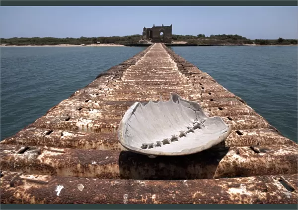 A turtle shell lies on a rusting jetty leading to Green Island, Massawa