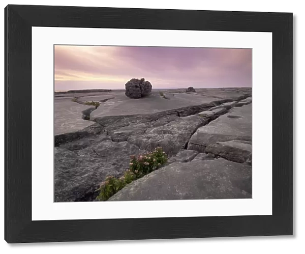 Limestone rocks near the sea, at sunset, The Burren, County Clare, Munster