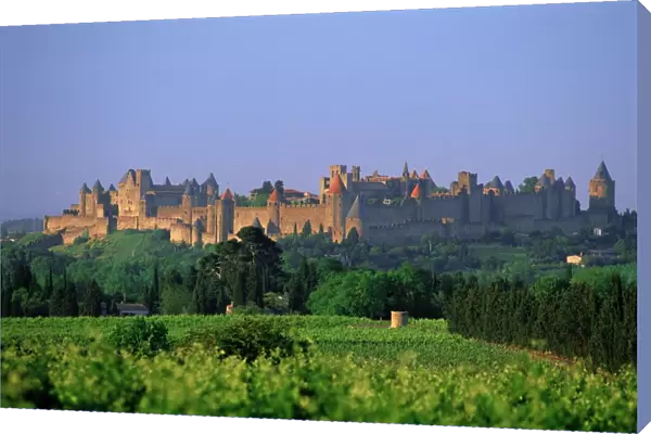 The medieval city of Carcassonne, Aude, Languedoc-Roussillon, France, Europe