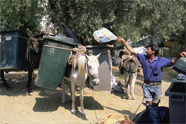 Mule used for collecting rubbish