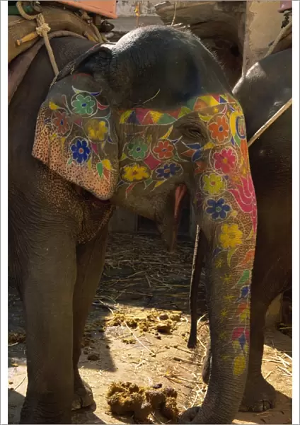 Close-up of a painted elephant