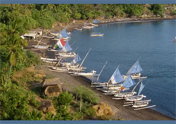 Outrigger fishing boats line the beach at a hamlet