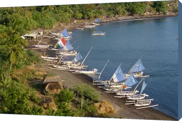 Outrigger fishing boats line the beach at a hamlet