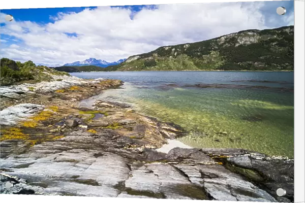 Tierra Del Fuego National Park, Ushuaia, Patagonia, Argentina, South America