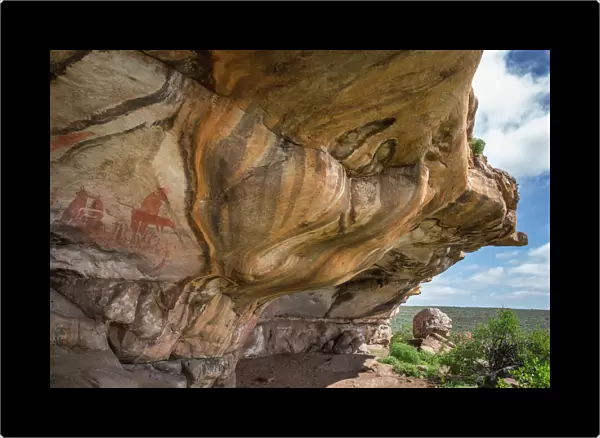 San rock art, Cederberg mountains, Western Cape, South Africa, Africa