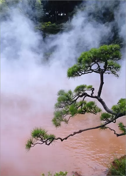 Blood Pond Hell (Chinoike Jigoku)