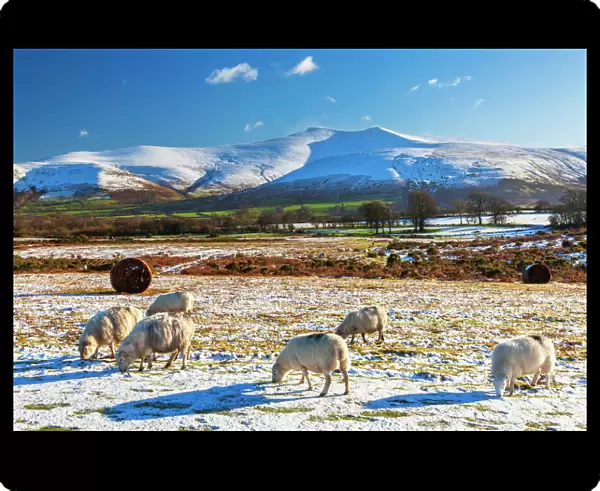 Brecon Beacons National Park, Wales, United Kingdom, Europe