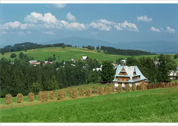 Typical Polish landscape near Zakopane in the Tatra Mountains