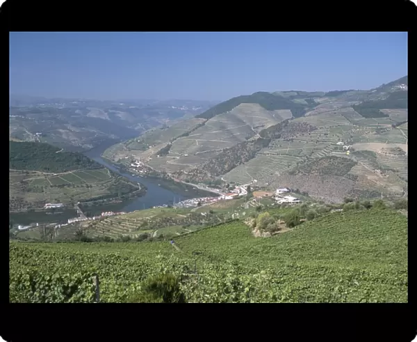 Vineyards near Pinhao