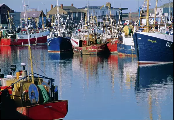 Fishing port of Howth