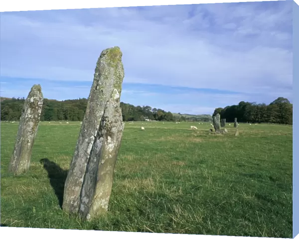 Standing stones in Lady Glassary wood