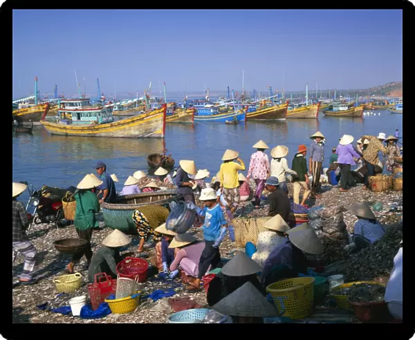 Village people collecting the morning catch from fishing boat fleet
