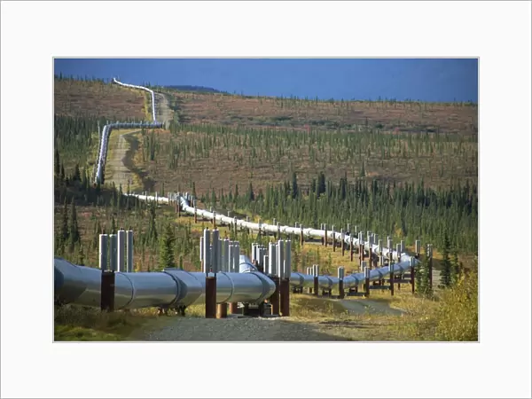 The Trans Alaska Oil Pipeline running on refrigerated