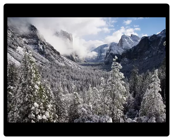 Fresh snow fall on El Capitan in Yosemite Valley