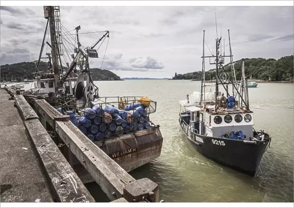 Fishing boat in Mangonui Harbour, Northland Region, North Island, New Zealand, Pacific
