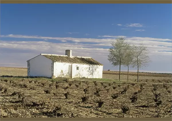 Farmhouse near Valdepenas