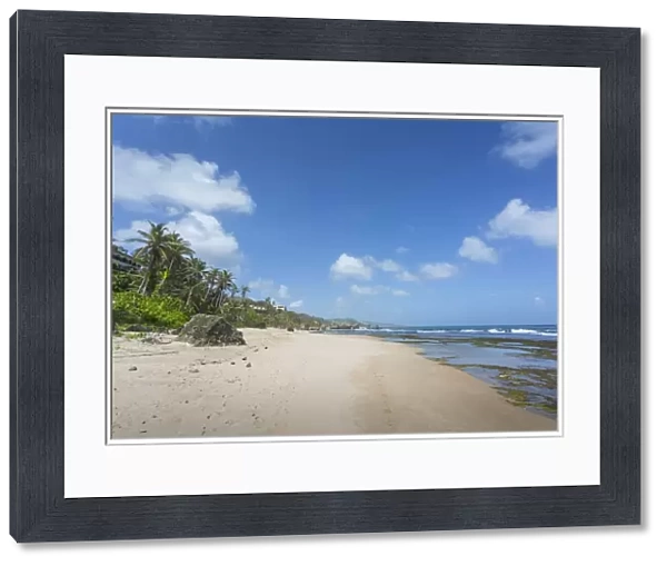 Bathsheba Beach, Bathsheba, St. Joseph, Barbados, West Indies, Caribbean, Central America