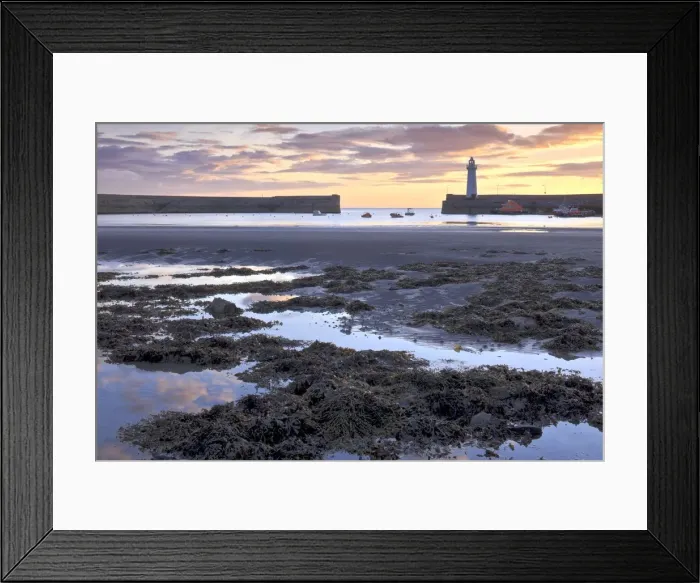 Framed Print : Donaghadee Harbour Print Framed Print : Donaghadee Harbour Print