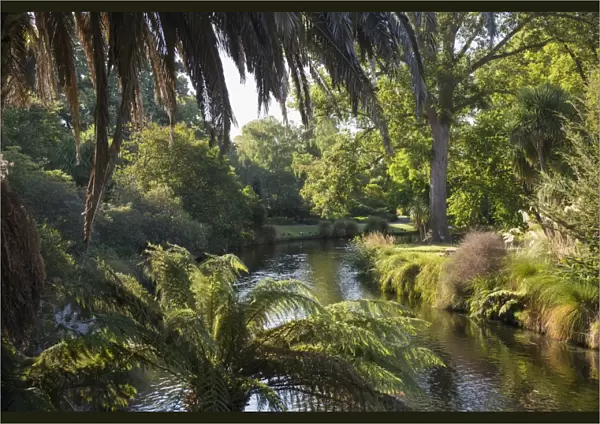 View along the palm-fringed Avon River in Christchurch Botanic Gardens, Christchurch