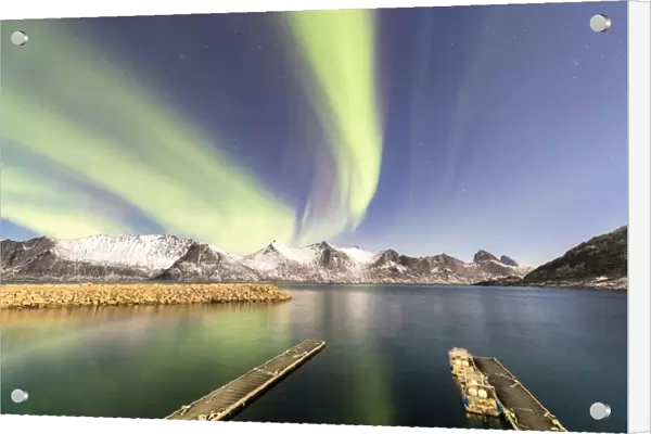 Northern lights (aurora borealis) on snowy peaks and icy sea along Mefjorden seen