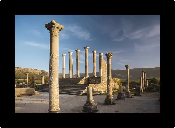 Roman ruins of Volubilis, UNESCO World Heritage Site, Morocco, North Africa, Africa