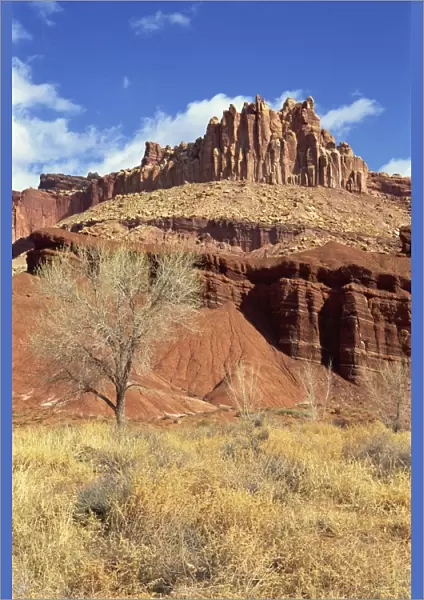 667-601. The Castle, Capitol Reef National Park